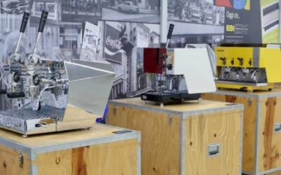 Por qué confiar en soporte profesional es la mejor decisión del año