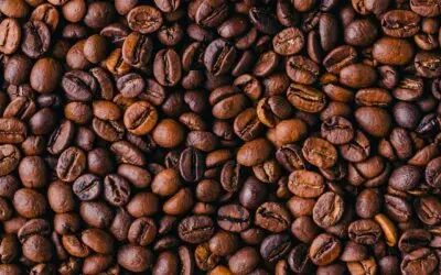 El café lleva siglos cambiando sin dejar de ser café